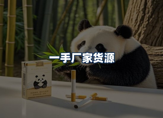 专业团队办公环境